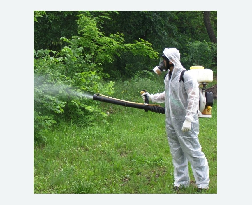 обработка территории от клещей в Навашино