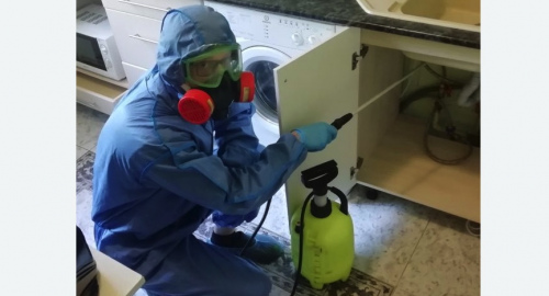 Уничтожение муравьев в квартире. Навашино