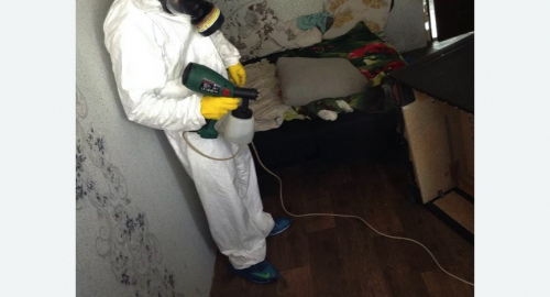 Обработка квартир от насекомых в Навашино