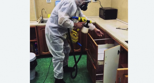 Дезинсекция квартиры. Навашино