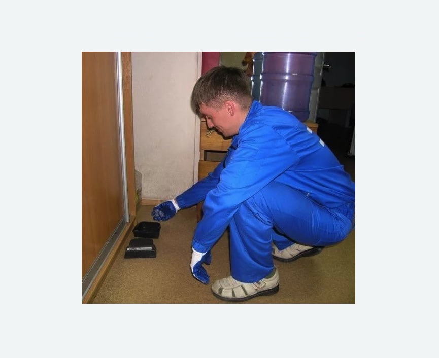 Дератизация крыс Дератизация крыс в Навашино