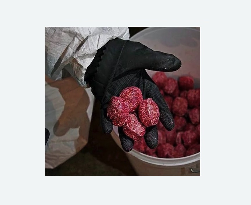 Обработка от крыс Обработка от крыс в Навашино