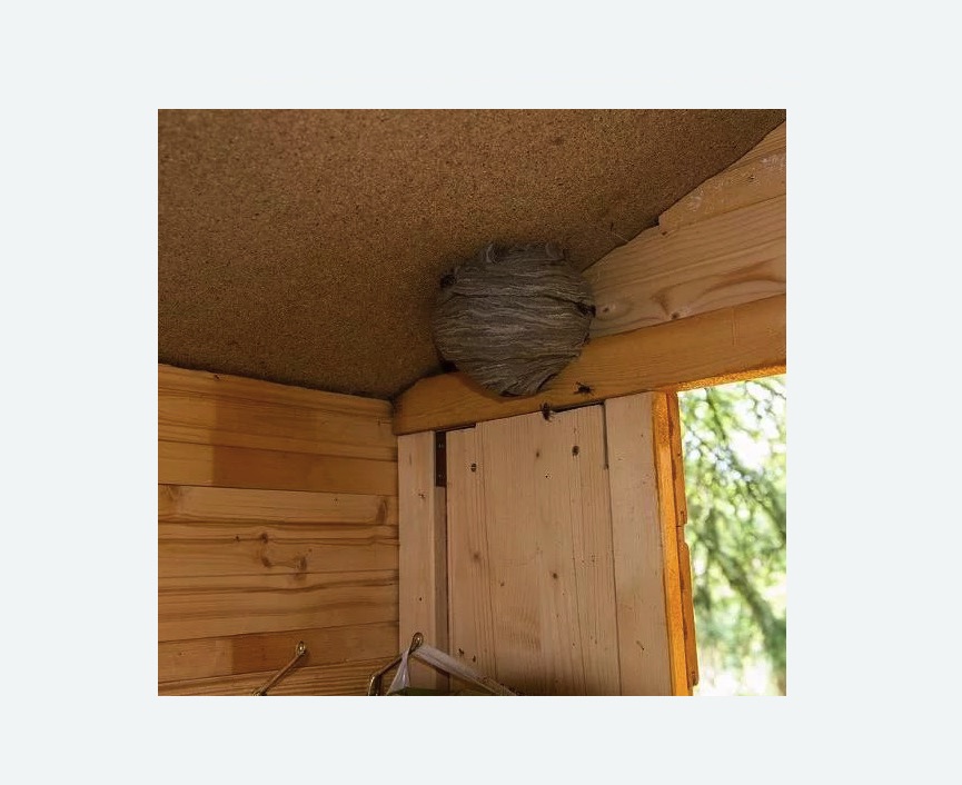 Обработка от ос в Навашино Обработка от ос