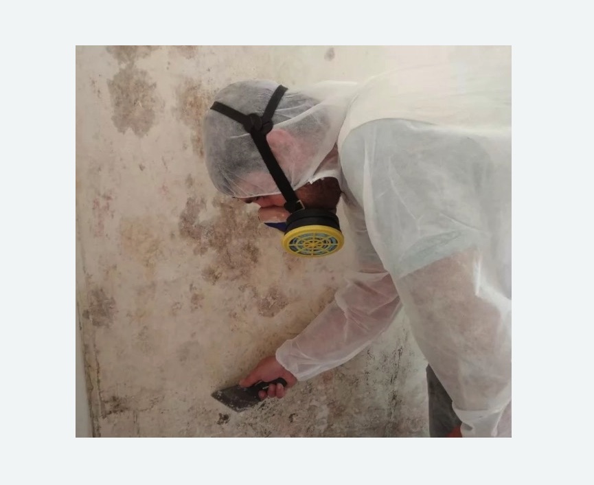 Обработка стен от плесени Обработка стен от плесени в Навашино