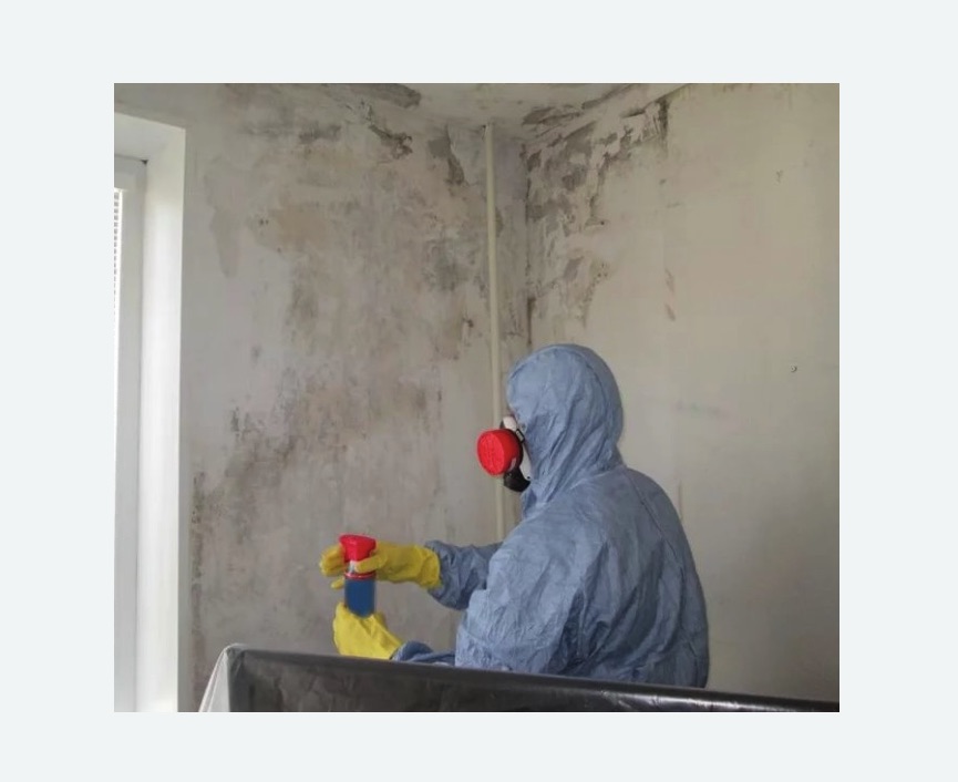 Удаление плесени в квартире Удаление плесени в квартире в Навашино