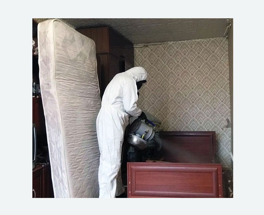 дезинфекция от клопов в Навашино