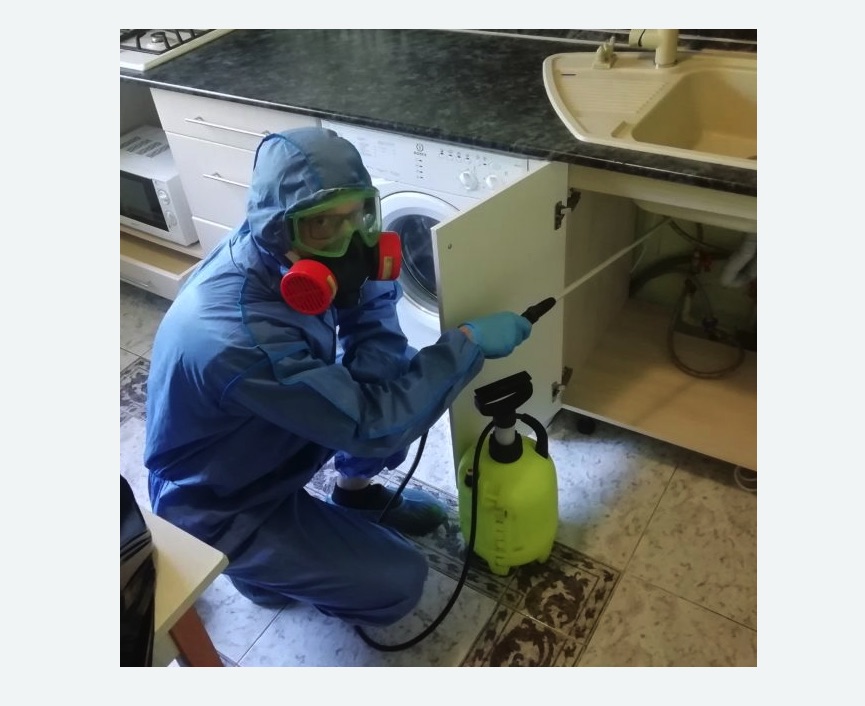 обработка от муравьев в квартире в Навашино