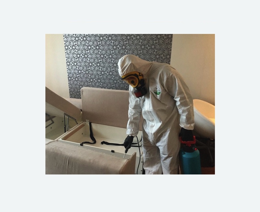 уничтожение клопов в квартире в Навашино