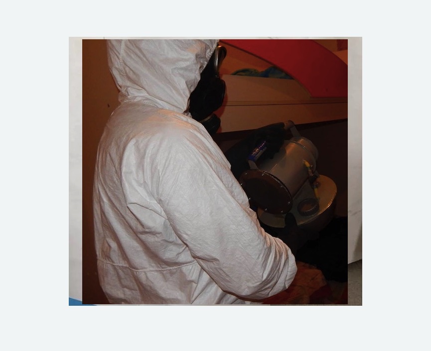 Дезинфекция от муравьев в Навашино