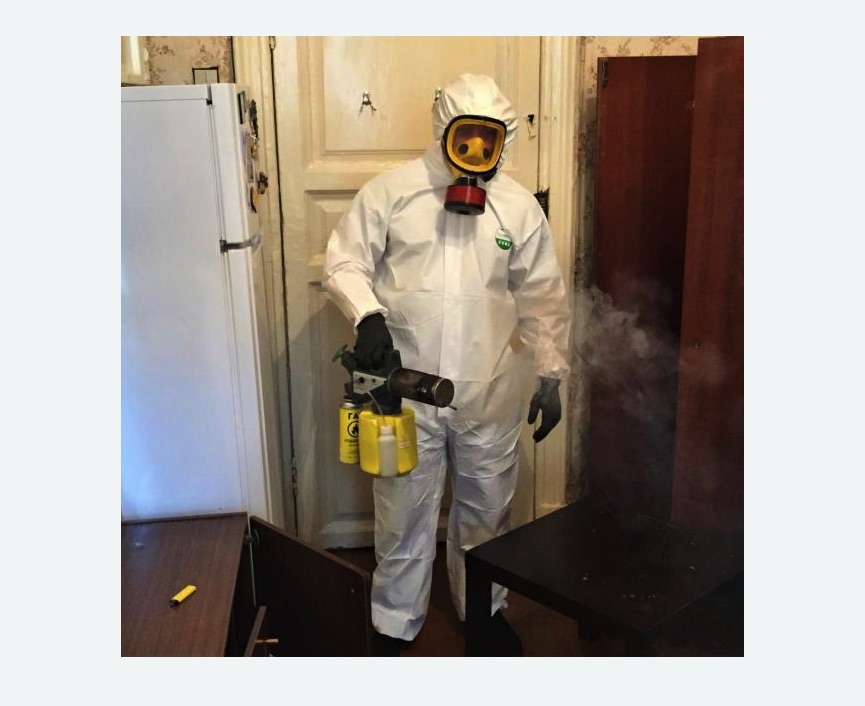 уничтожение муравьев в квартире в Навашино